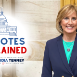 Tenney Votes Explained