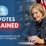Votes Explained