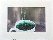 Alana Jackson - North Rose-Wolcott High School Grade 11 - "Drip"