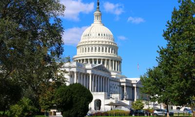 Capitol and trees